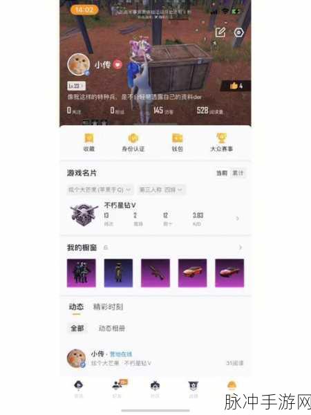 和平精英战绩查询攻略,QQ平台详细步骤解析
