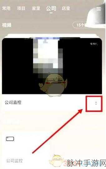 萤石云视频手游攻略,删除视频记录操作详解