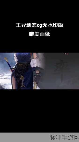 率土之滨王异角色深度玩法解析，美貌与实力并存，策略与战斗的双重绽放