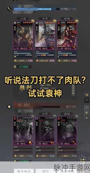 率土之滨王异角色深度玩法解析,美貌与实力并存,策略与战斗的双重绽放