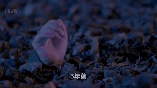 闪艺胖妞逆袭记金手指完结全攻略,解锁校园恋爱新篇章