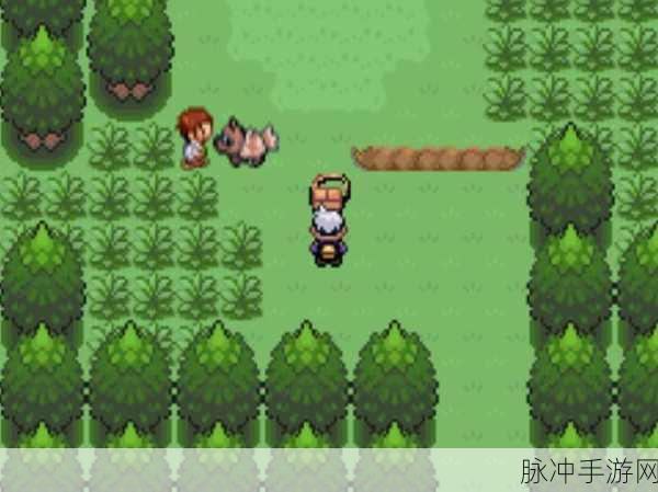 口袋妖怪漆黑魅影,深入梦世界的全面奇妙探索指南