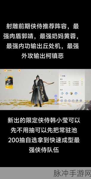 射雕手游阵容搭配深度解析，最强侠侍阵容搭配攻略