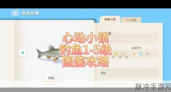 心动小镇鳌虾垂钓全攻略，探寻鳌虾的神秘栖息地