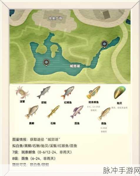 心动小镇鳌虾垂钓全攻略,探寻鳌虾的神秘栖息地