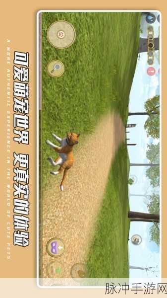 动物萌化模组探险记,热门趣味冒险游戏的极致体验