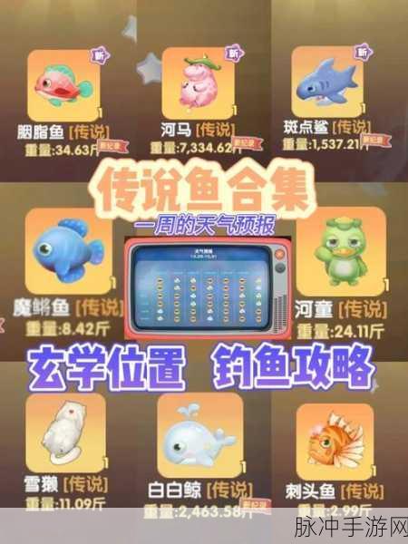 摩尔庄园手游钓鱼攻略，探寻鱼儿的踪迹