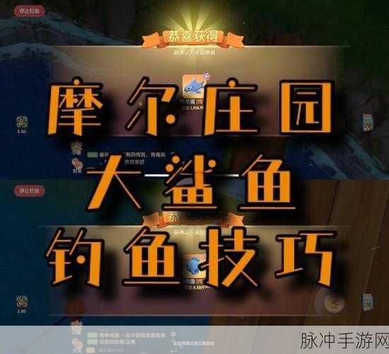 摩尔庄园手游钓鱼攻略,探寻鱼儿的踪迹