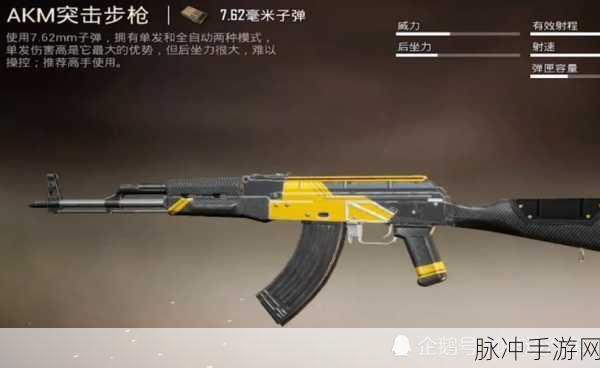 和平精英AKM枪械深度解析，射速之谜与实战攻略