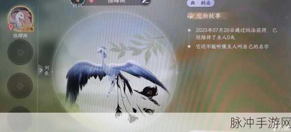 逆水寒手游凤凰坐骑获取方式及价格全解析
