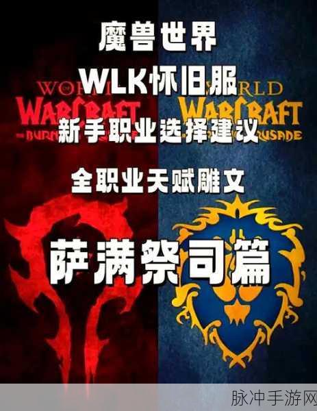 魔兽世界怀旧服萨满升级天赋全攻略