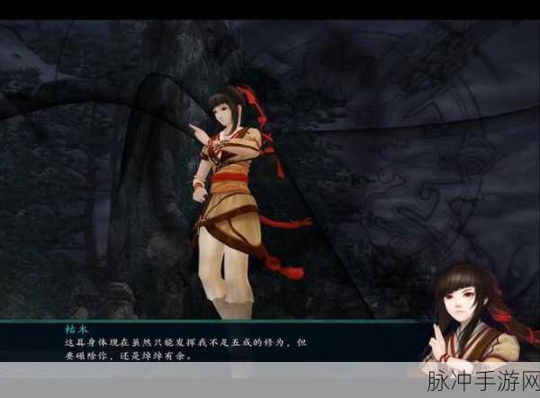 仙剑五前传手游新服开荒心得全面解析