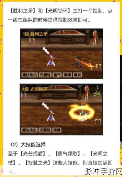 DNF最新消息，圣骑士角色强化属性全攻略，智力体力谁主沉浮？