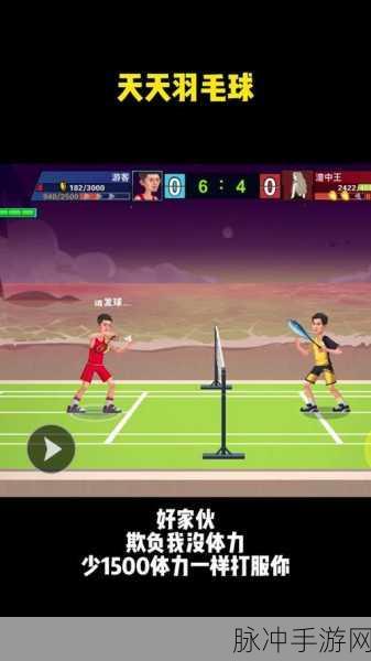 天天羽毛球MOD内置菜单最新版，卡通竞技新体验全攻略