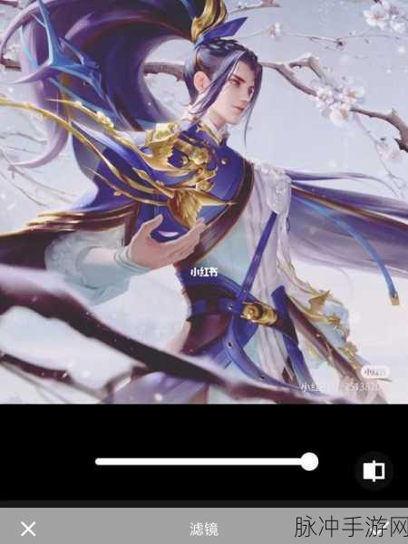 王者荣耀韩信傲雪梅枪皮肤深度解析与攻略