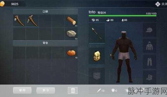 废土危行，揭秘强火力热武器MP5魔改版，独特属性与炫酷设计全解析