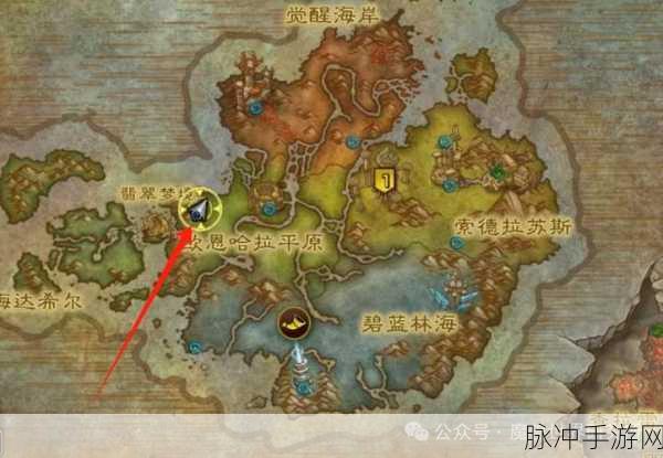 魔兽世界手游攻略,瓦德拉肯前往黑心林地的详尽指南