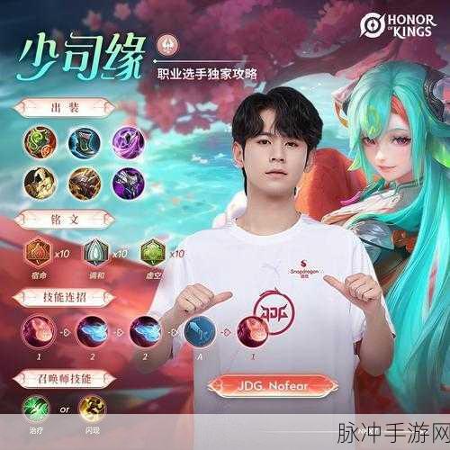 王者荣耀，当KPL职业选手有多辛苦——揭秘荣耀背后的汗水与坚持