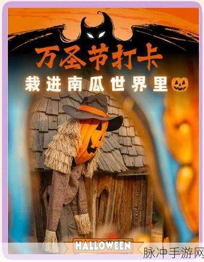 哈利波特魔法觉醒万圣节卡南瓜拍照任务全攻略
