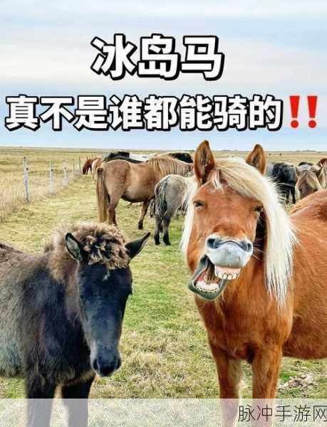 艾兰岛驯服马匹全面指南,掌握驯马技巧,驰骋成为马背上的王者