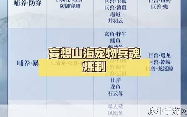 妄想山海手游攻略，揭秘蘑菇肉汤100%合成秘籍