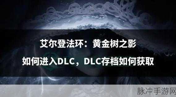 艾尔登法环坐骑获取全攻略,解锁你的探险新速度