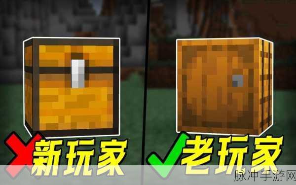 我的世界生存高端玩法揭秘,看到这9种玩法,老MC沉默了!