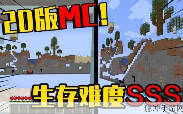 我的世界生存高端玩法揭秘,看到这9种玩法,老MC沉默了!