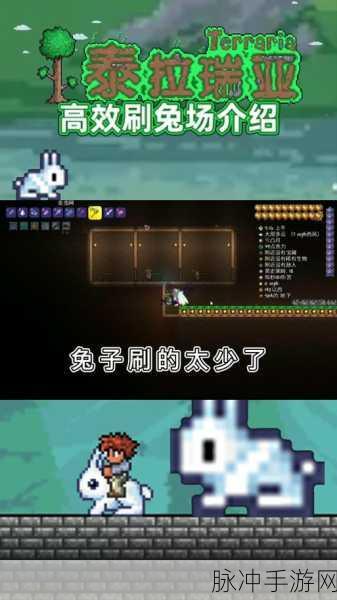 泰拉瑞亚兔子获取全攻略,解锁你的萌宠之旅