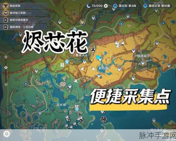 原神之旅深度探索,揭秘清心花之谜与采集攻略