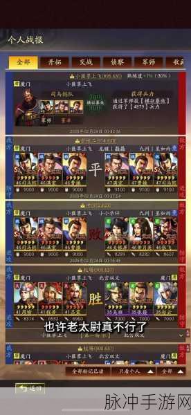 三国志战略版高级地成功攻略之道,全面解析与实战技巧