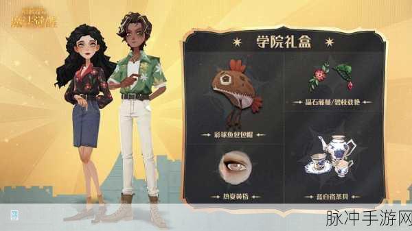 哈利波特魔法觉醒新赛季皮肤揭秘,全新风采一览表及深度解析