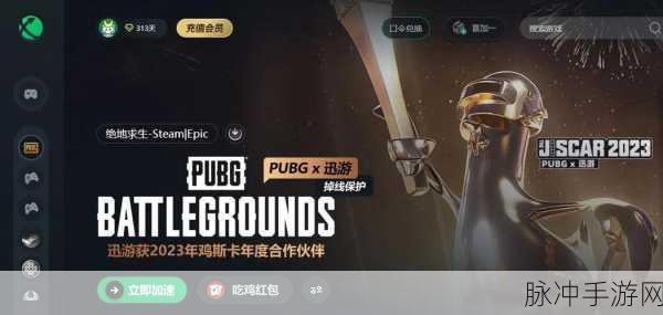绝地求生手游攻略，Steam平台生存之旅的深度解析