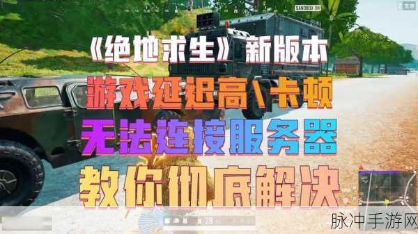 绝地求生手游攻略,Steam平台生存之旅的深度解析