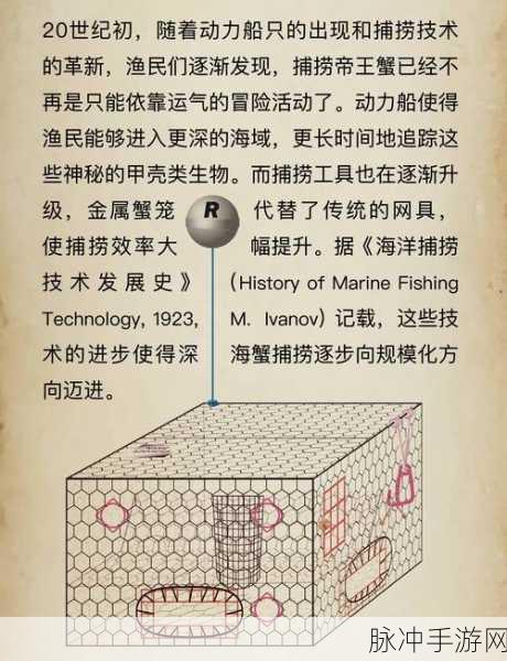 探秘创造与魔法中的沉眠帝王蟹，神秘生物与特性深度解析