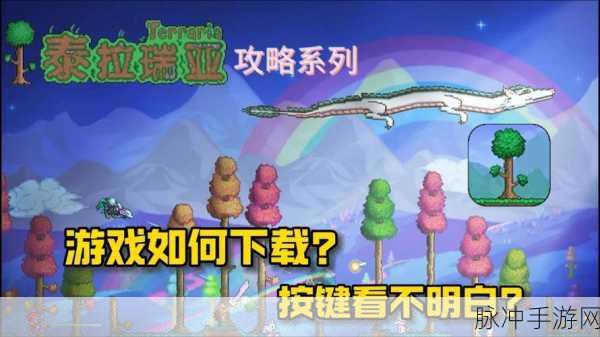 泰拉瑞亚闪耀根生长之谜,全面揭秘生长条件与高效种植策略