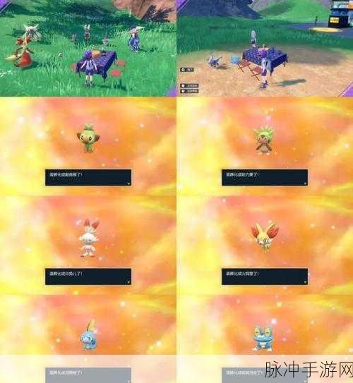 精灵宝可梦GO解锁地区全攻略,探索无限可能