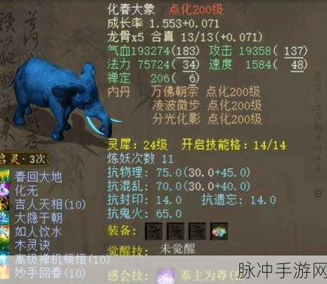 大话西游手游小黄金兽加点全攻略,如何打造最强小黄金兽?