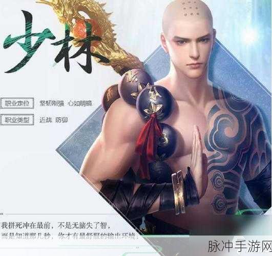 大唐无双2手游全职业深度解析与攻略指南
