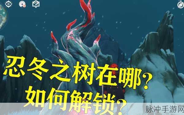 原神迷踪，深入探索，寻找忍冬树之秘的终极攻略