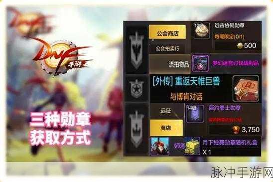 DNF玩家必看，深度解析如何选择最适合你的传说勋章搭配攻略