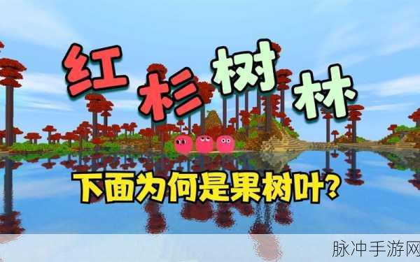 迷你世界深度攻略，红杉树上的果实球球豆——企鹅繁殖的秘密