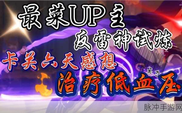 原神反雷神训练计划通关全攻略,掌握策略与技巧,轻松击败雷神