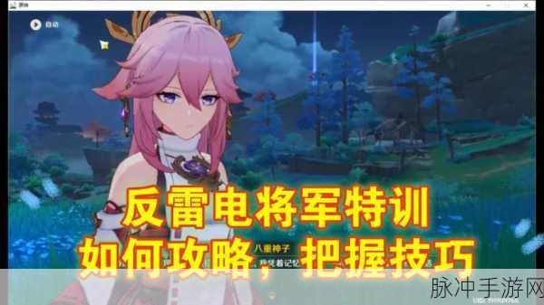 原神反雷神训练计划通关全攻略,掌握策略与技巧,轻松击败雷神