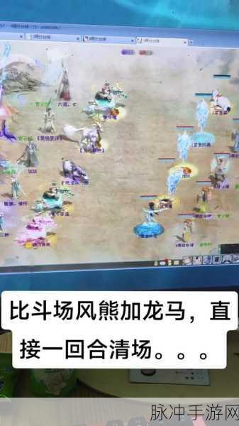 大话西游手游龙马全解析,获取途径与实力展现深度剖析