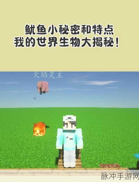 我的世界手游角色趣闻,女角色遭遇鱿鱼事件解析