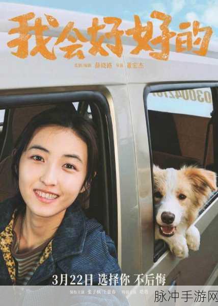 和平精英电影拍摄入口全解析，成为光影世界的导演