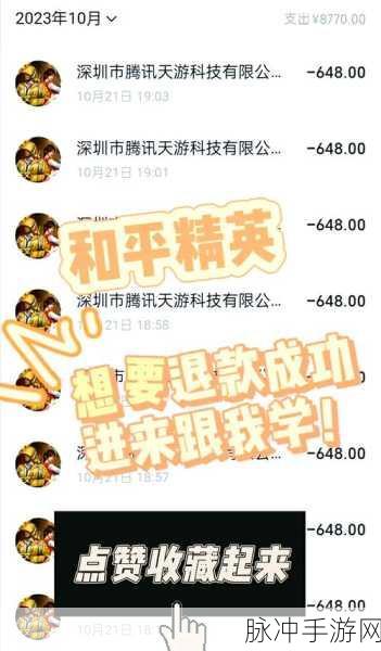 和平精英退款攻略，详解全款退款流程与可能性