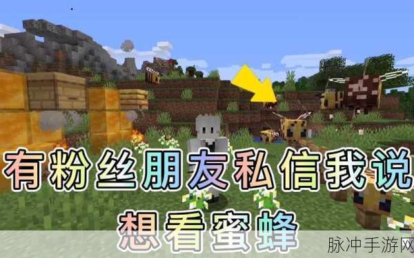 我的世界手游攻略，全面解析如何采集蜂蜜