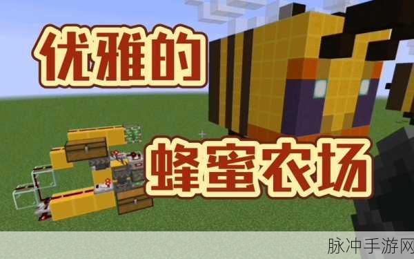 我的世界手游攻略,全面解析如何采集蜂蜜